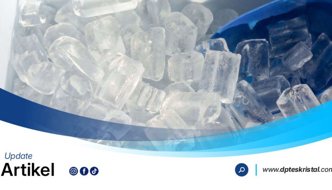 DPT Es Kristal Artikel1