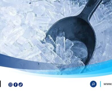 DPT Es Kristal Artikel2